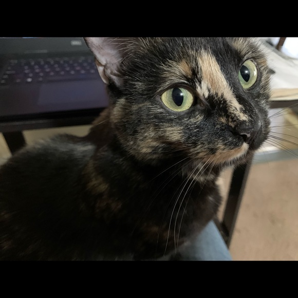 Meet your Posher, Jess - Picture 1 of 1